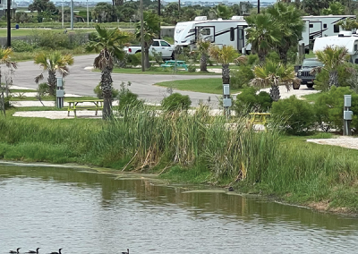 Galveston Island RV Park - Galveston, TX West End