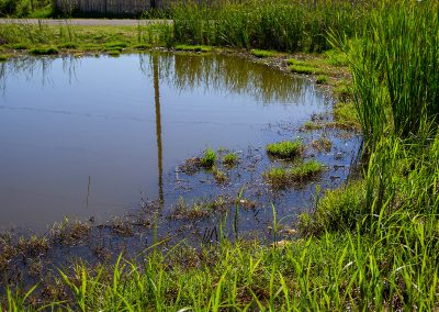 Galveston Island RV Park - Amenities include two fishing ponds for catch and release as well as kayaking.