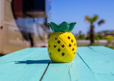 Galveston Island RV Park